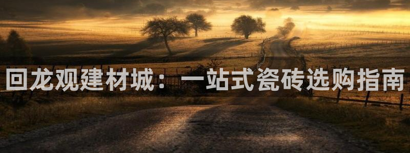 杏鑫主管