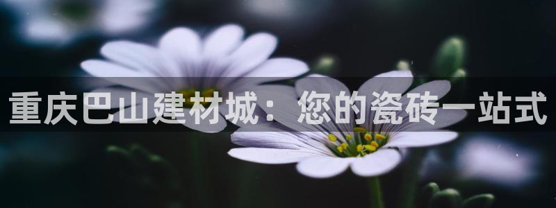 杏鑫官方平台怎么样啊可靠吗