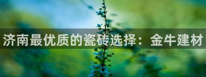 杏鑫娱乐官网