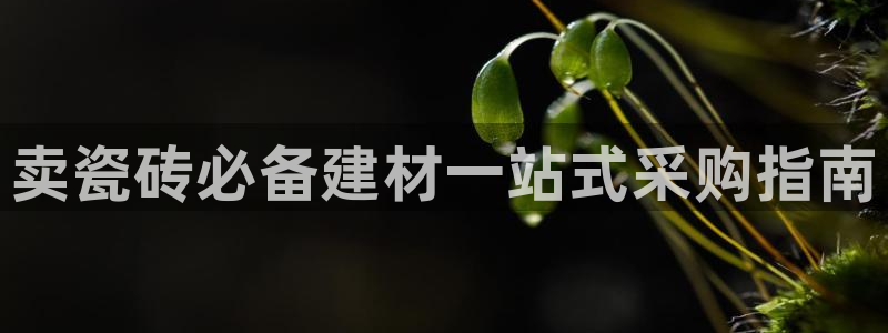杏鑫娱乐多少年了