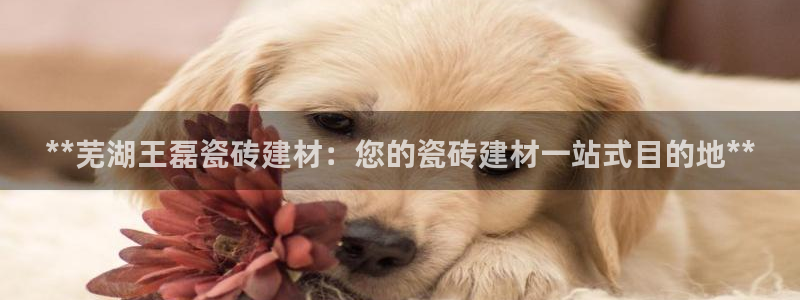 杏鑫注册登录网址是什么