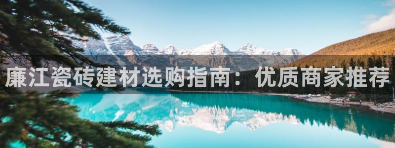 杏鑫平台怎么样