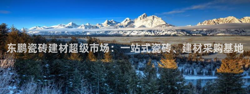 杏鑫平台是黑平台吗是真的吗