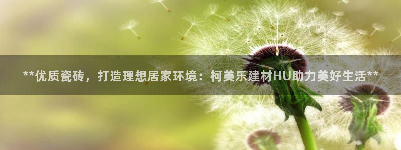 杏鑫官网最新信息
