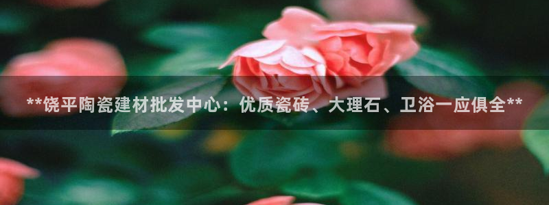 杏鑫官网