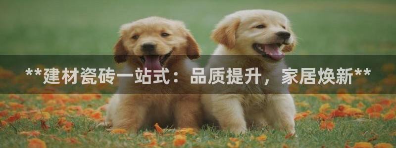 杏鑫注册平台官方网站入口