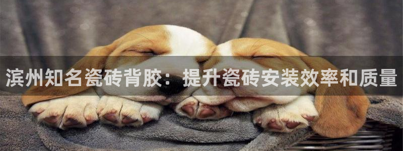杏鑫官方平台怎么样可靠吗