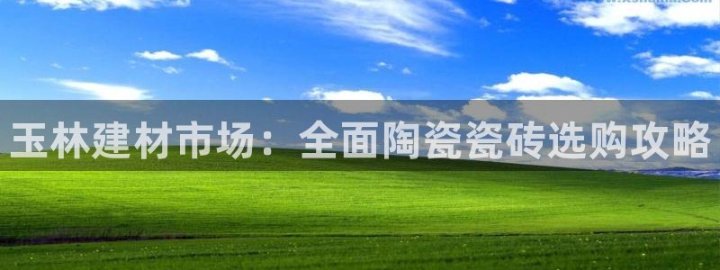 杏鑫官网最新信息新闻