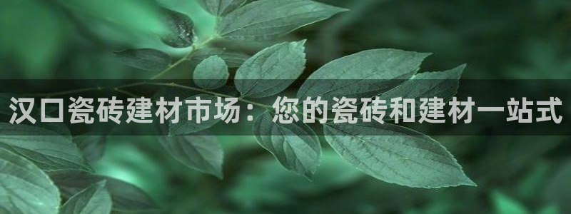 杏鑫主管