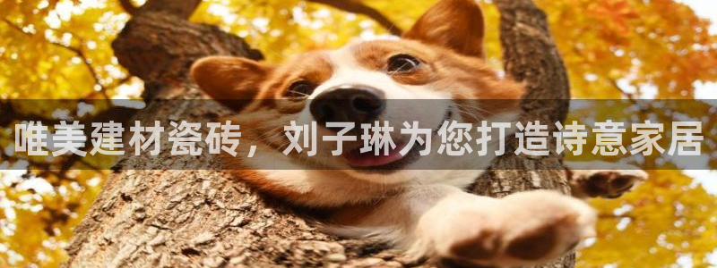 杏鑫平台代理怎么样赚钱