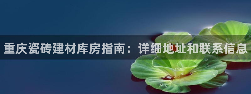 杏鑫平台代理怎么做的