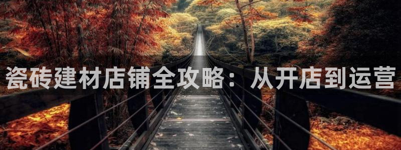 杏鑫娱乐开发团队