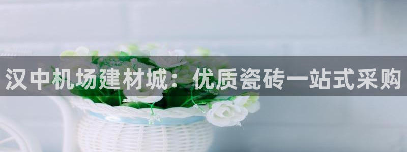 杏鑫官方平台怎么样