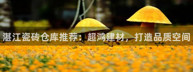 杏鑫主管