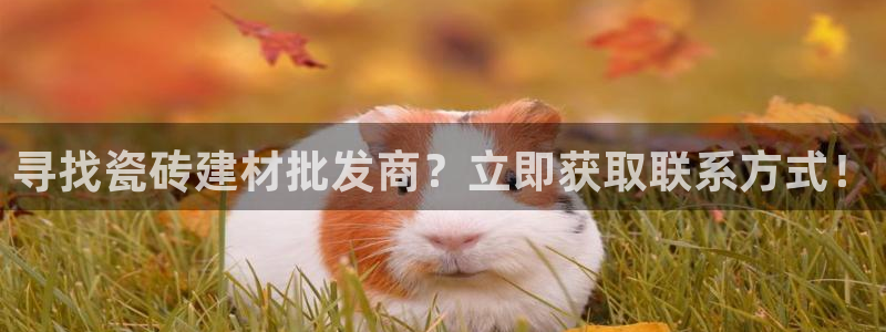 杏鑫平台官方网站