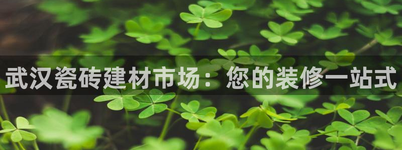 杏鑫平台念7O777