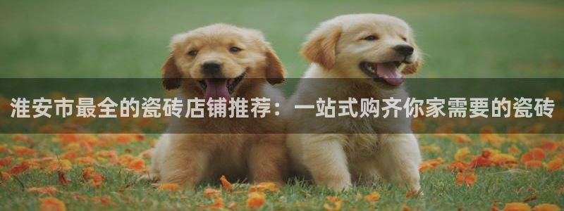 杏鑫平台测速