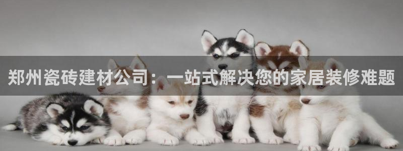 杏鑫手机客户端怎么下载