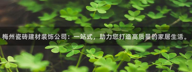 杏鑫官网最新信息新闻报道
