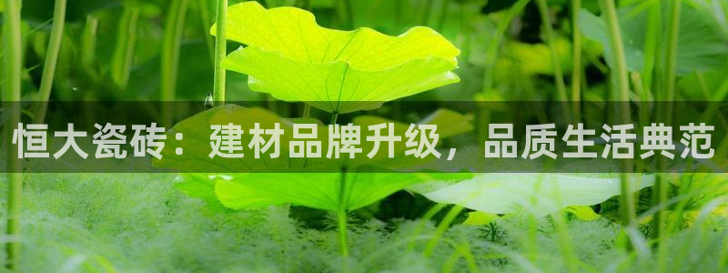 杏鑫平台靠谱吗