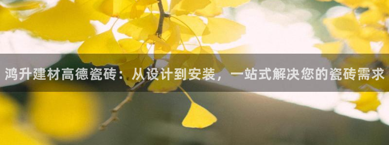 杏鑫平台招商电话