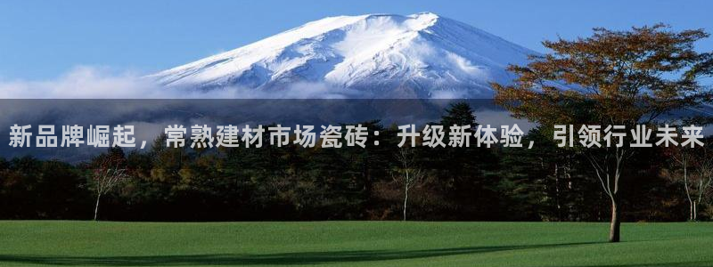 杏鑫注册登录代理公司