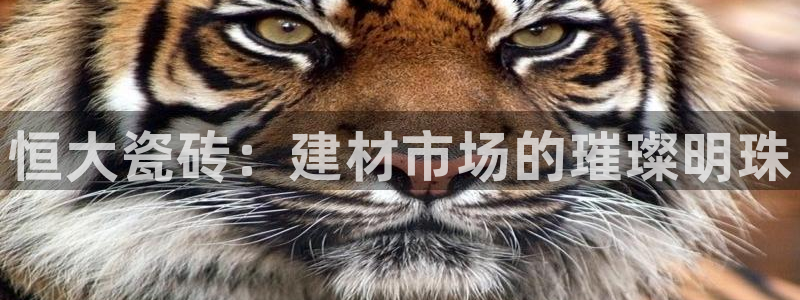杏鑫平台平台娱乐怎么样
