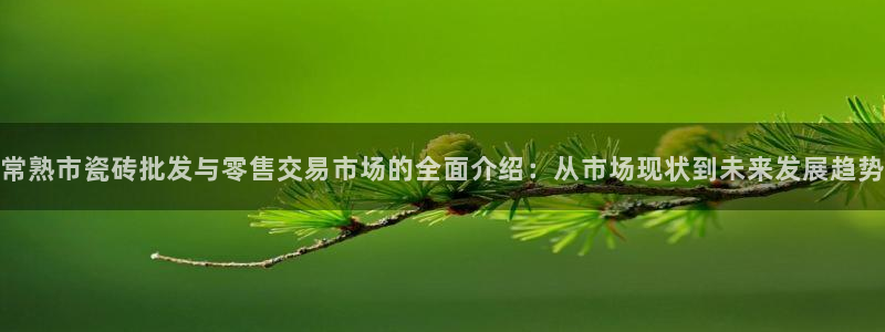 杏鑫平台招商电话号码查询