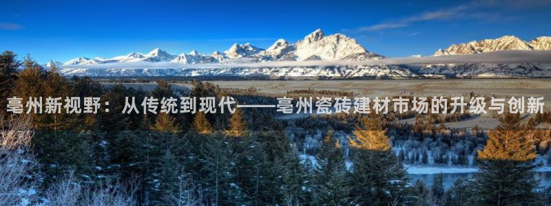 杏鑫代理注册平台