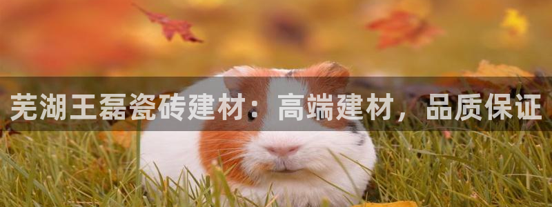 杏鑫平台官方网站