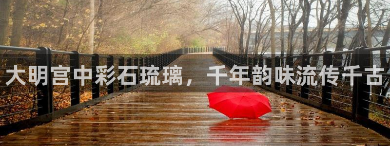 杏鑫官方平台怎么样
