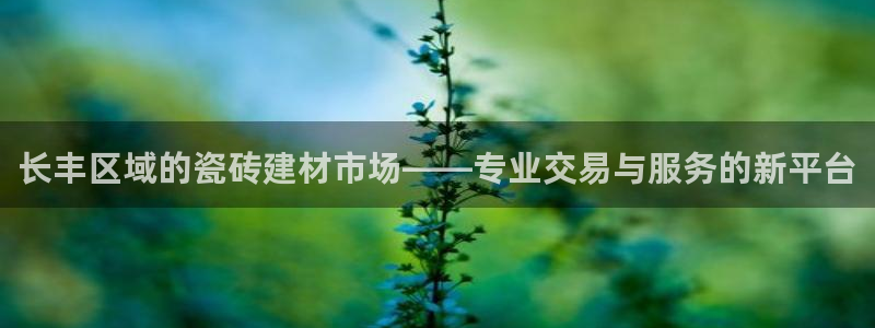 杏鑫平台代理
