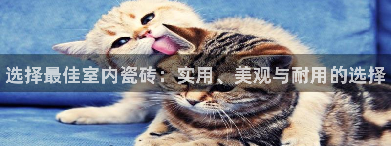 杏鑫平台野马联盟