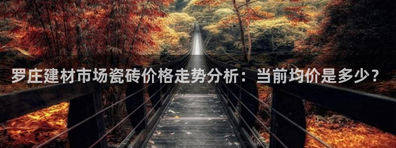 杏鑫娱乐开发团队
