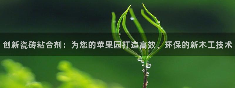 杏鑫娱乐官方网站客户端