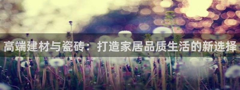 杏鑫娱乐怎么下