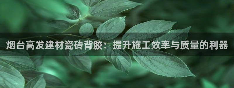 杏鑫平台测速