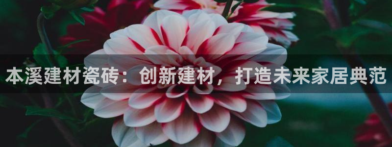 杏鑫娱乐官方网站客户端
