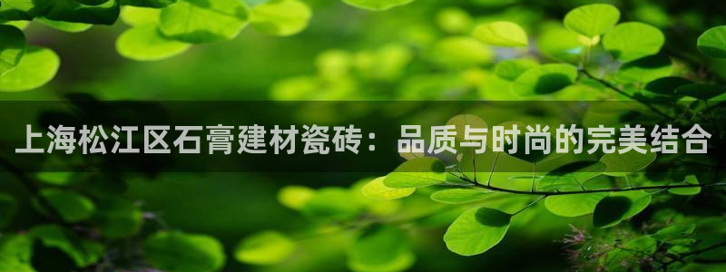 杏鑫平台招商