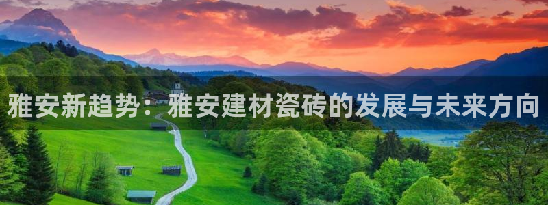 杏鑫主管