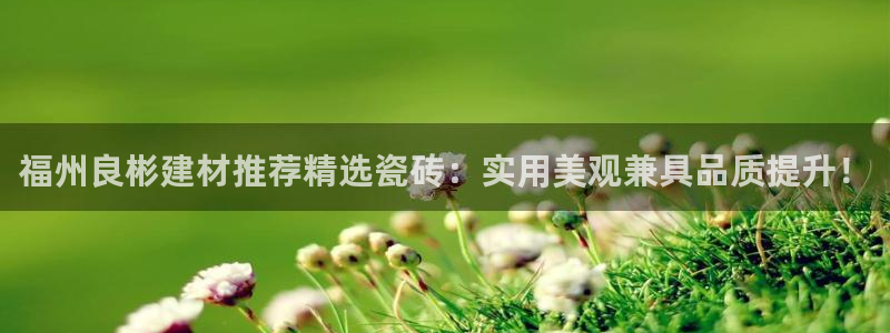 杏鑫平台怎么样
