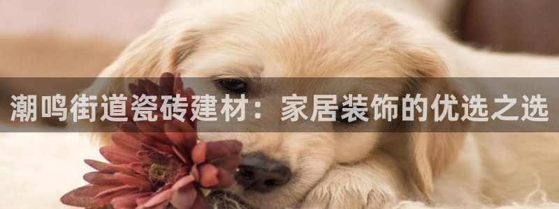 杏鑫娱乐官方网站客户端下载