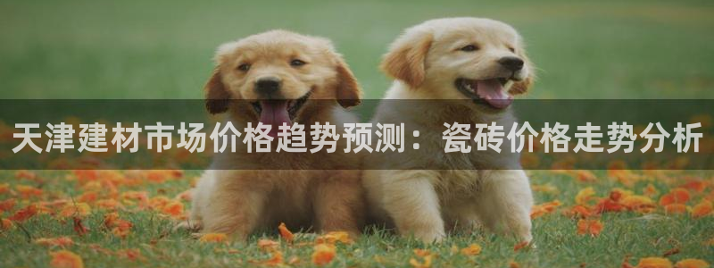 杏鑫手机客户端