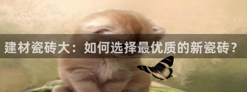 杏鑫平台怎么样黑钱吗知乎