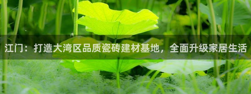 杏鑫娱乐平台测速怎么样