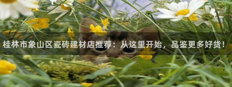 杏鑫娱乐官网首页