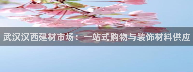 杏鑫平台代理注册流程及费用