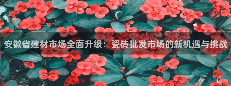 杏鑫娱乐官网