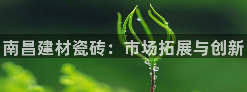 杏鑫官网注册账号密码是多少