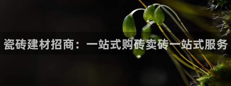 杏鑫平台怎么样黑钱吗知乎推荐